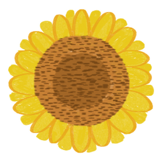 doodle of sunflower